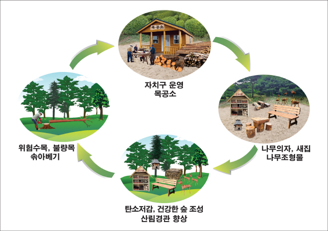 숲가꾸는 ‘솎아베기’ 나선 서울, 건강한 산림 경관 개선 썸네일