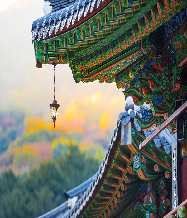 5일간의 긴 설 연휴… 박물관·고궁 문 ‘활짝’ 썸네일