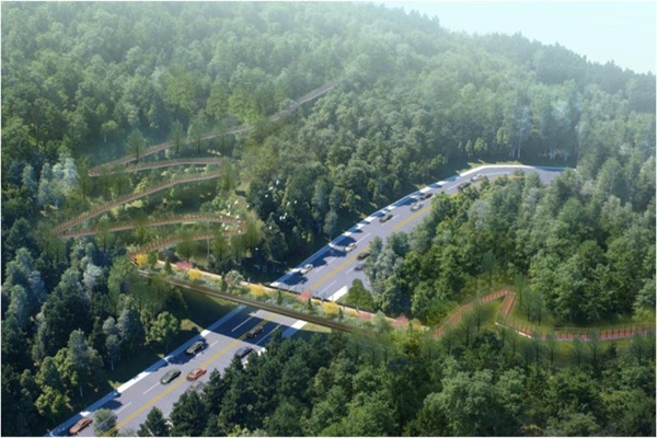 장충단로 하늘길-역사탐방… 서울 ‘걷기 행복지수’ 높인다 썸네일