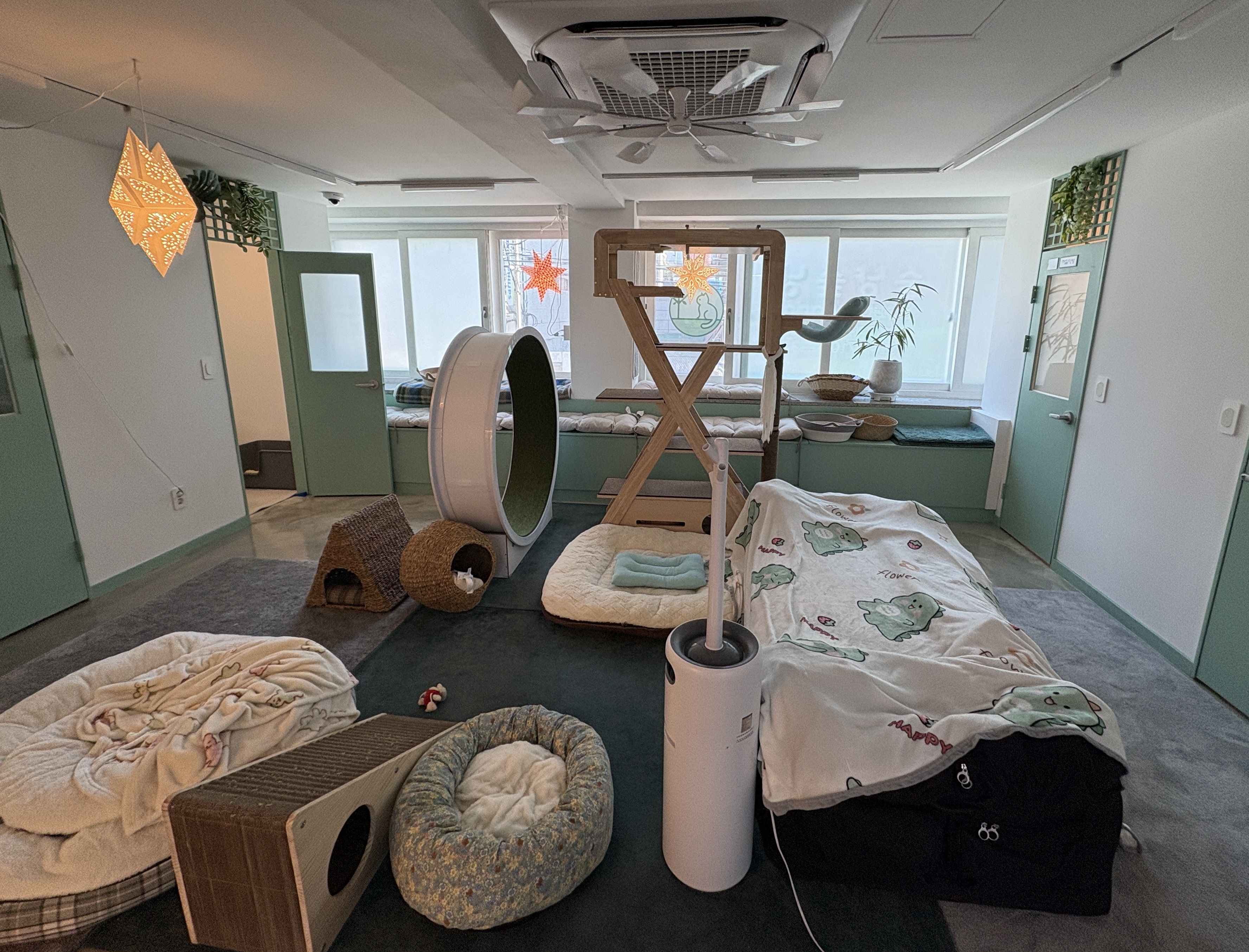 취약가구 반려동물 '돌봐줄개'! 중구, 안심 펫위탁소 지정…최대 10일 무료 썸네일